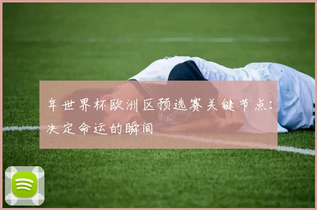 年世界杯欧洲区预选赛关键节点:决定命运的瞬间