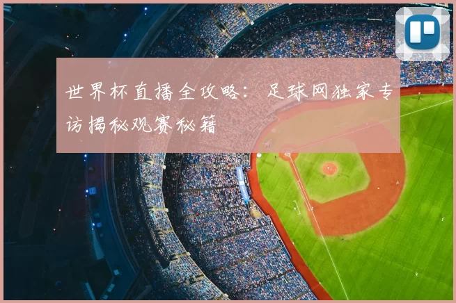世界杯直播全攻略：足球网独家专访揭秘观赛秘籍