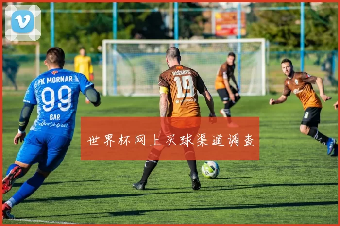 世界杯网上买球渠道调查