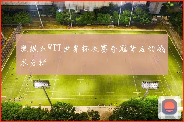 樊振东WTT世界杯决赛夺冠背后的战术分析