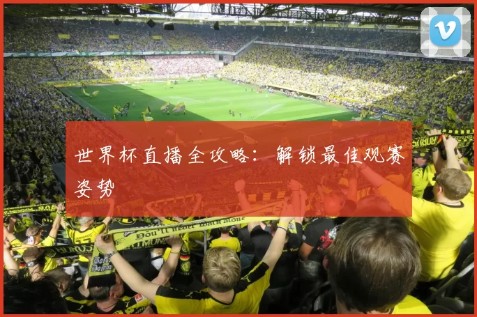 世界杯直播全攻略：解锁最佳观赛姿势
