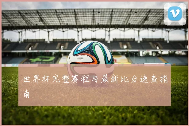 世界杯完整赛程与最新比分速查指南