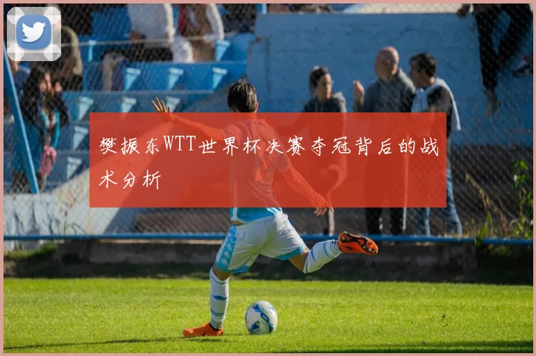 樊振东WTT世界杯决赛夺冠背后的战术分析