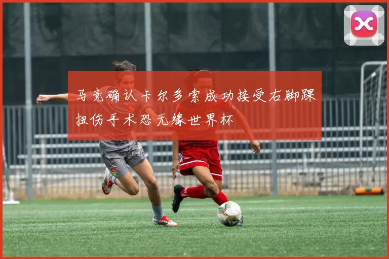 马竞确认卡尔多索成功接受右脚踝扭伤手术恐无缘世界杯
