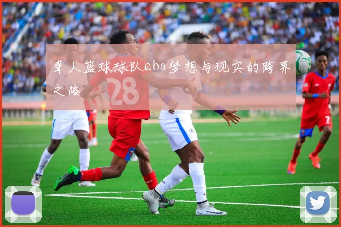 聋人篮球球队cba梦想与现实的跨界之路