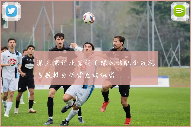 深入探讨北京羽毛球队的配合表现与数据分析背后的秘密
