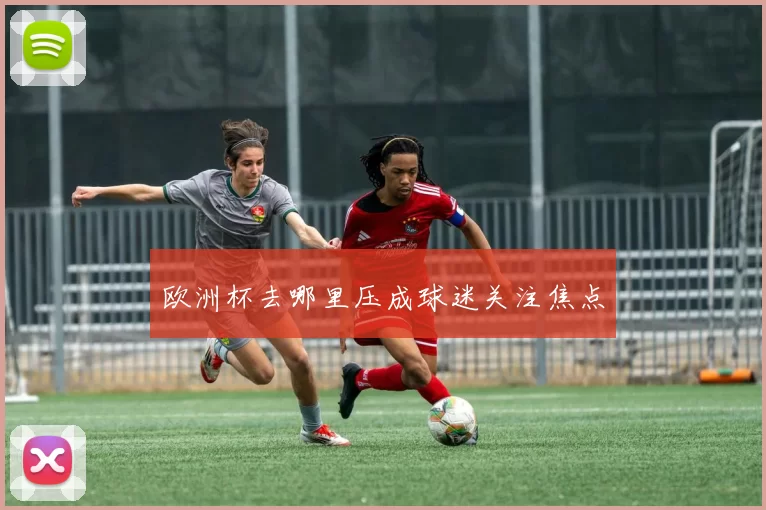 欧洲杯去哪里压成球迷关注焦点