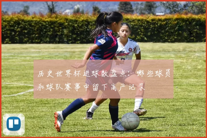 历史世界杯进球数盘点：哪些球员和球队赛事中留下高产记录